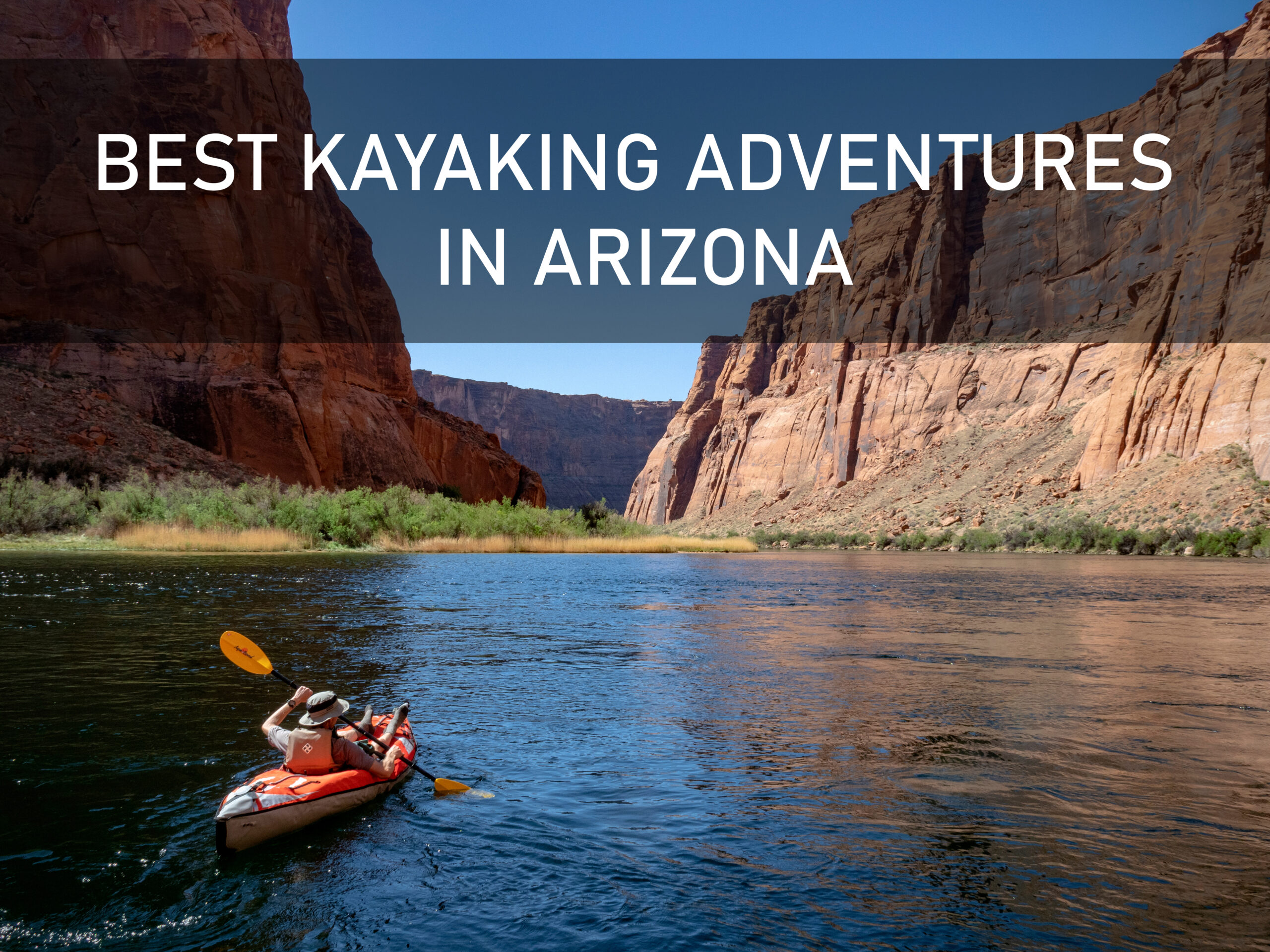 Interest rates skyrocking blog Interest rates skyrocking blog